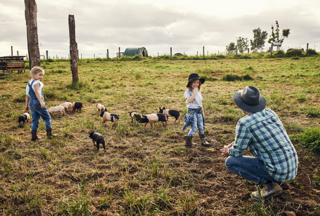 Brighter days ahead for Jane’s family farm